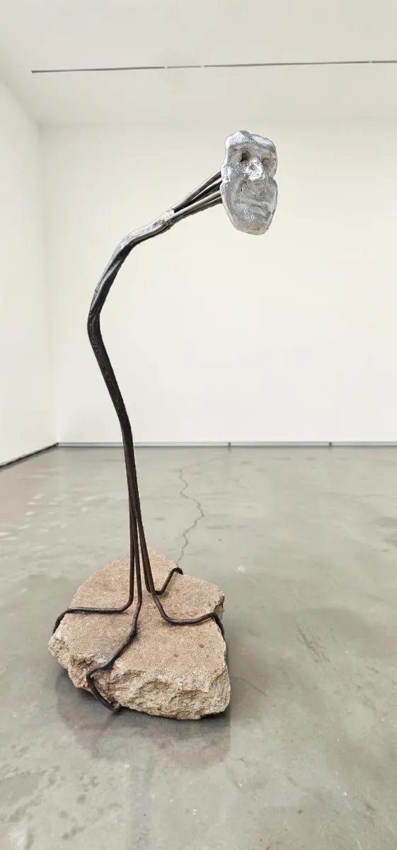 1000026853