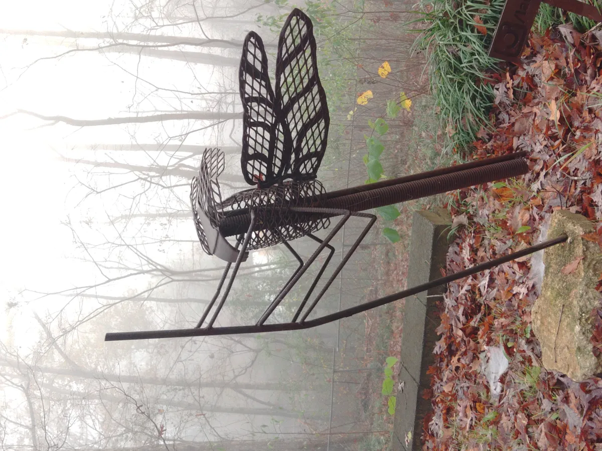 Dragonfly4